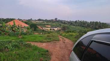 A picture of 0774591471 0709106274.. WAKISO PLOTS FOR SALE 40X40FT 10M UGX THOUGH
