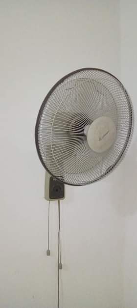 A picture of Feni