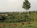 A picture of Bombo kalure town view plots on quick sale