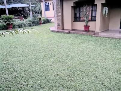 houses runda
