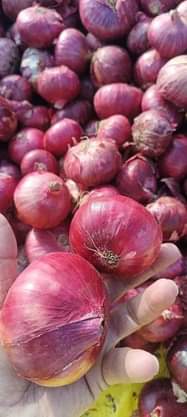 A picture of What is stopping you from shopping from Angee food n