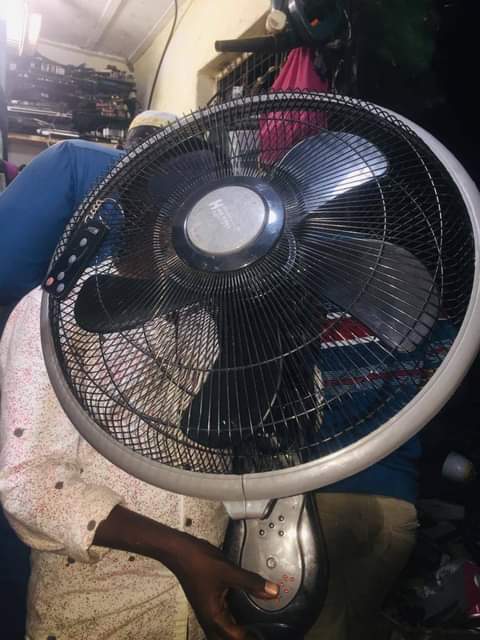 fans