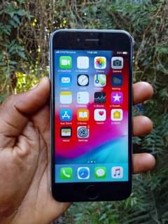 A picture of iPhone 6 plain