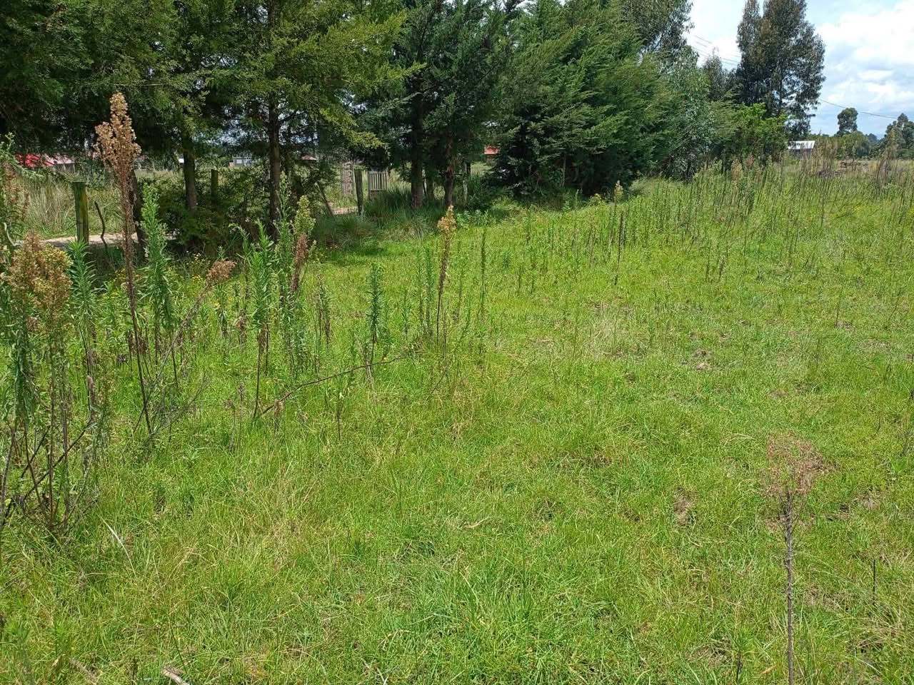 agricultural