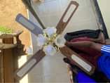 A picture of Ceiling Fan With Lights For Sale