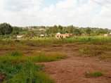 A picture of Plot on quick sale 24m located at matugga Plot size