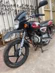 A picture of Nauza Piki Piki