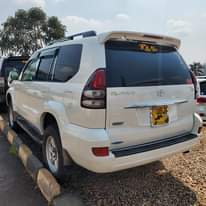 A picture of TX 2006 85M