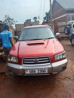 A picture of Subaru x20