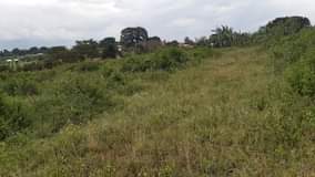 A picture of Plots