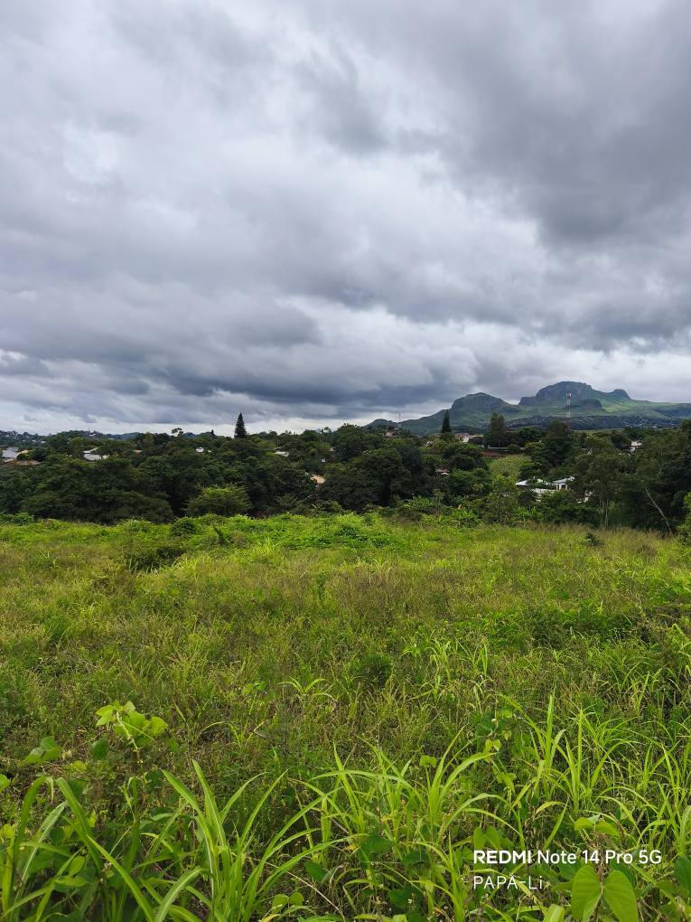 land