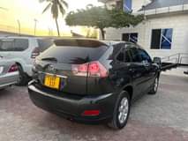 A picture of Harrier new