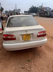 A picture of Toyota kikumi kumi for sale