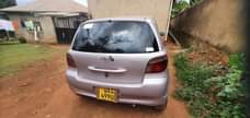 A picture of Vitz old model