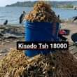 A picture of 0757998621