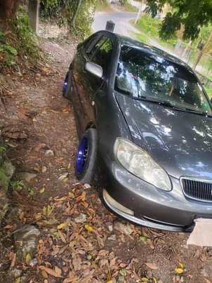 toyota altis