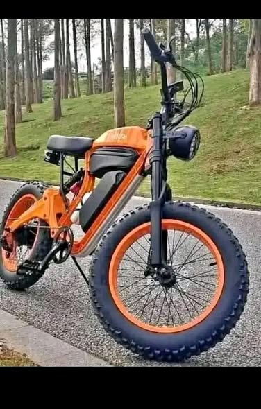 mountain bike