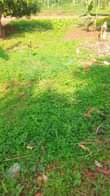 A picture of Nice plot for sale Price 5 7millions