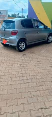 A picture of Vitz