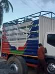 A picture of Centa hyoo engine 4D33 imepoa Bei mil 25 inapga kaz