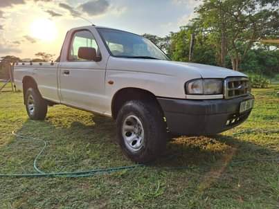 Mpumalanga L.