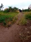 A picture of Magigye beautiful plot on quick sale Accommodation to Rent