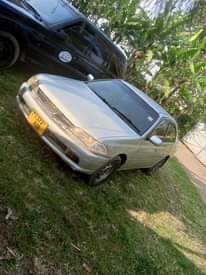 A picture of Carina 0767410504
