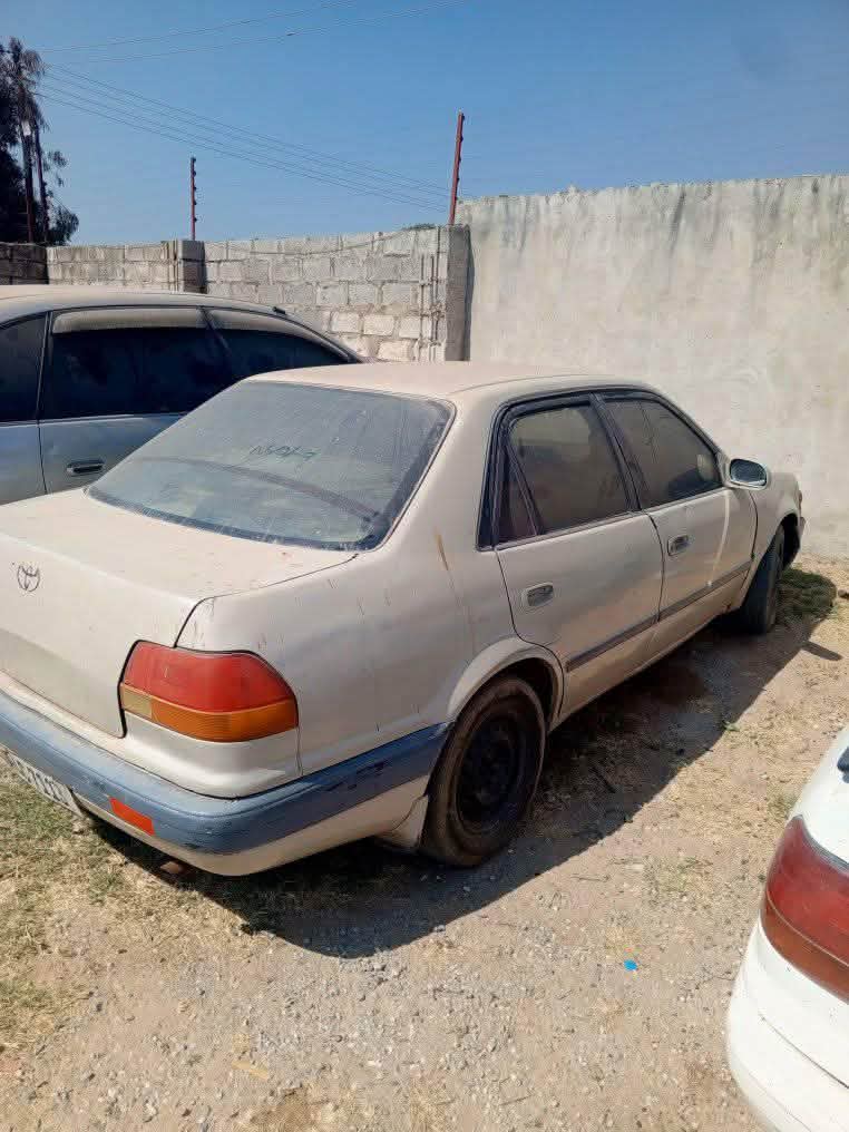 zed cars_under_20pin