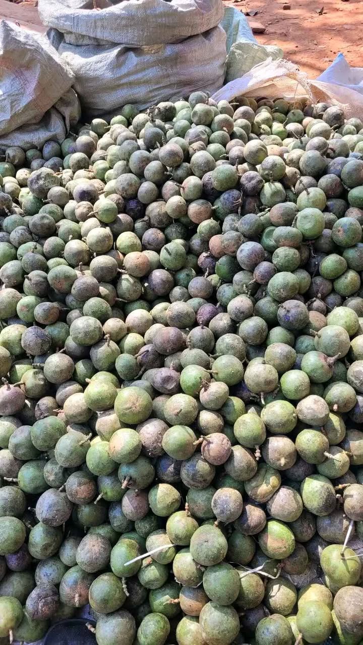A picture of Passion Fruits