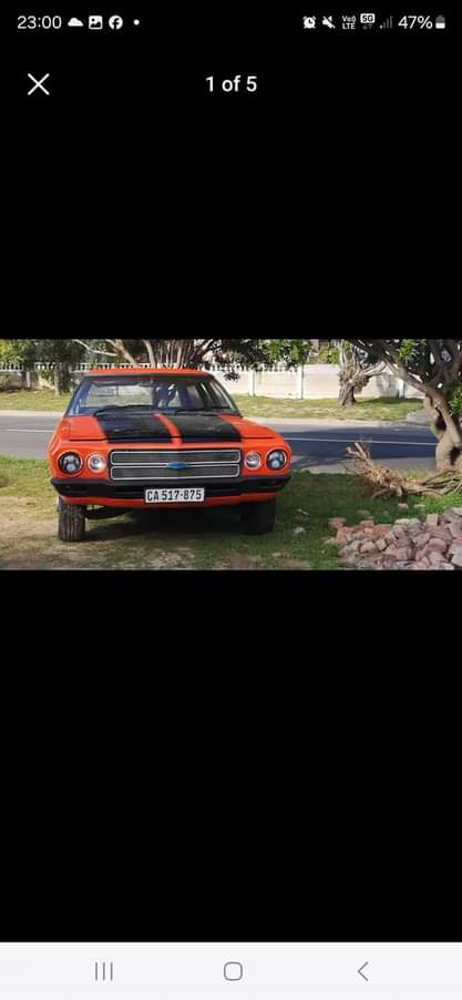 Classic,Muscle A.