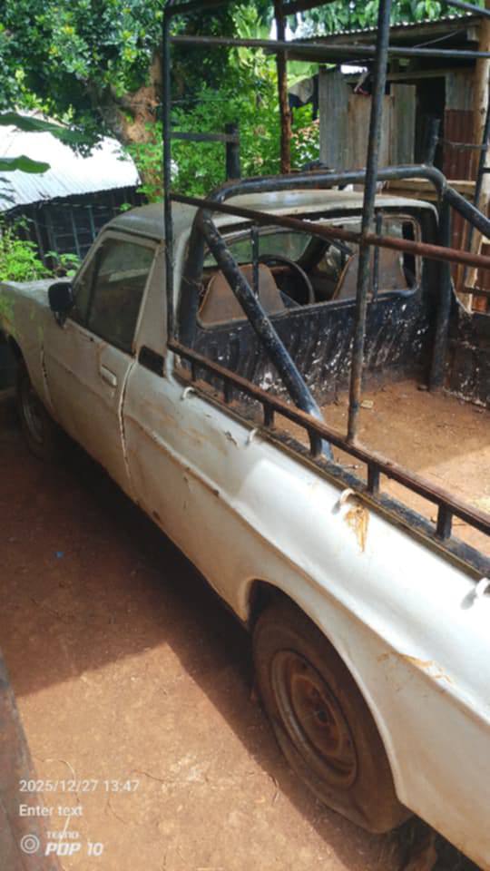 datsun