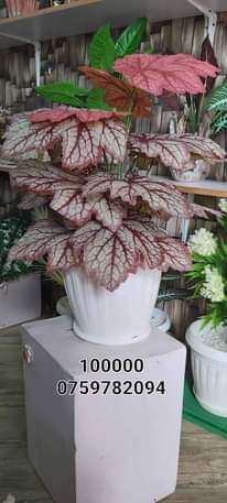 A picture of Artificial plants