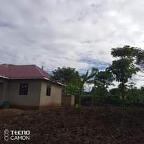 A picture of Land for sale in Mukono Seeta Nazigo Sized on 50by100fts