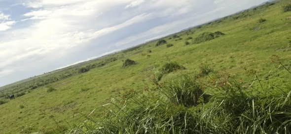 A picture of PRIME AGRICULTURE INVESTMENT 492 ACRES Looking for a plug and
