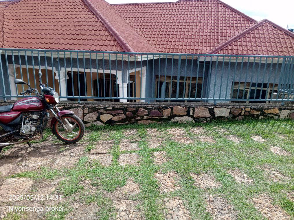 houses for rent