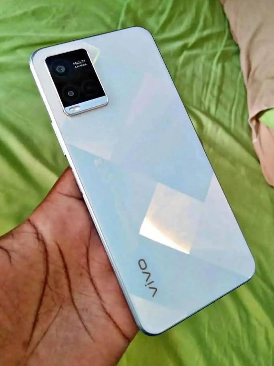 polo vivo