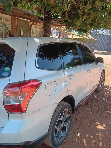 A picture of Subaru Forester