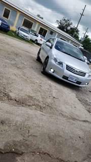 Candi A.
