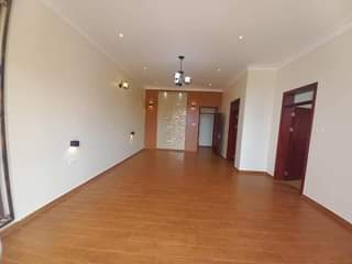 A picture of Muyenga breathtaking residential home for sale