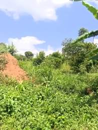 A picture of 13 acres of land for sale at kilolo kabale branch