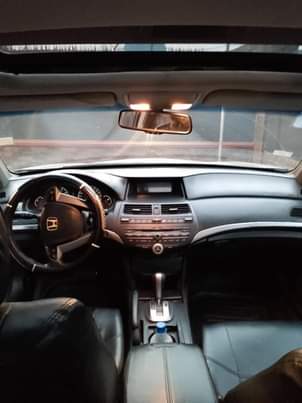 A picture of Honda Accord 2008 model V6