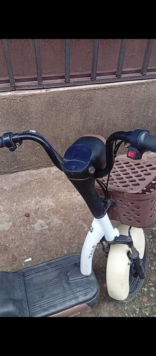 A picture of Electric Bike
