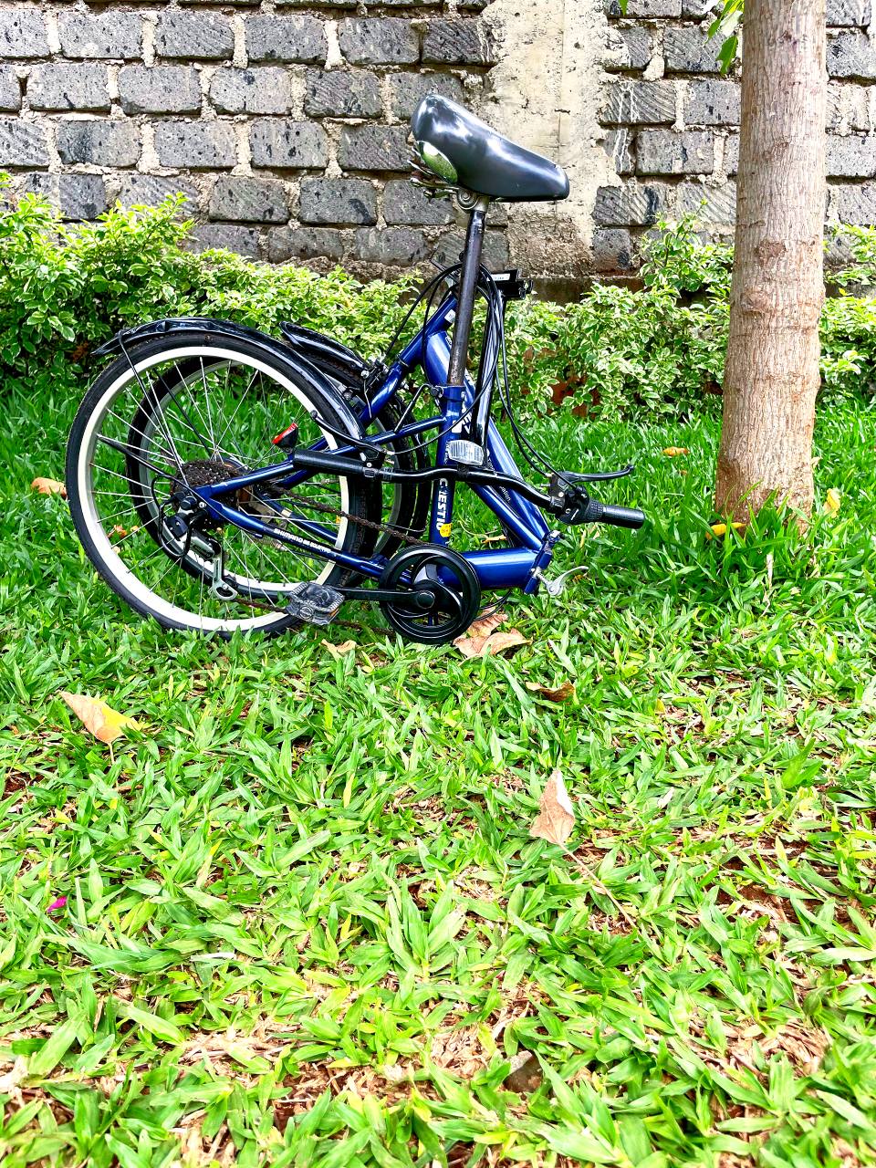 shimano