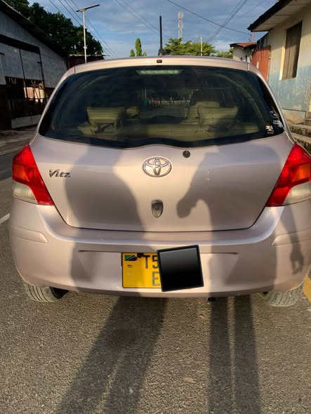 A picture of vitz