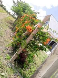 A picture of Eneo lenye nyumba mbili boma ng ombe KILIMANJARO linauzwa