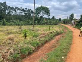 A picture of LAND 50 100FT PLOT ON SALE