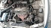 A picture of Honda bulldug