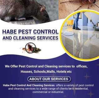 cleaning services