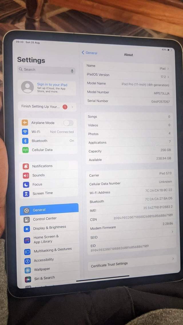 ipad