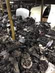 A picture of SCANEX AUTO PARTS